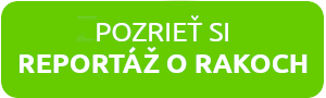 reportaz o rakoch