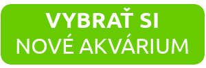 vyber-prveho-akvaria