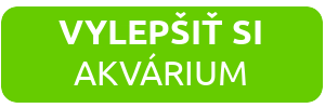 ako-si-vylepsit-akvarium
